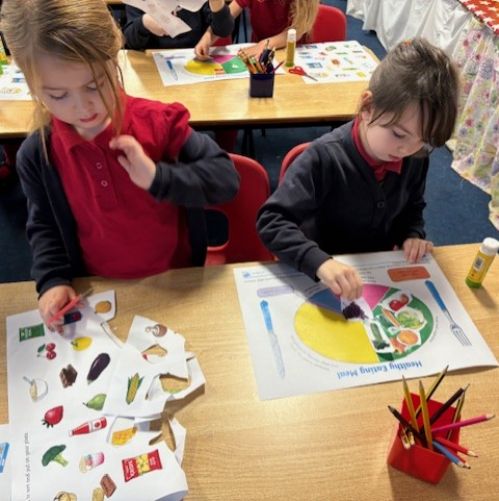 Design and make a healthy sandwich